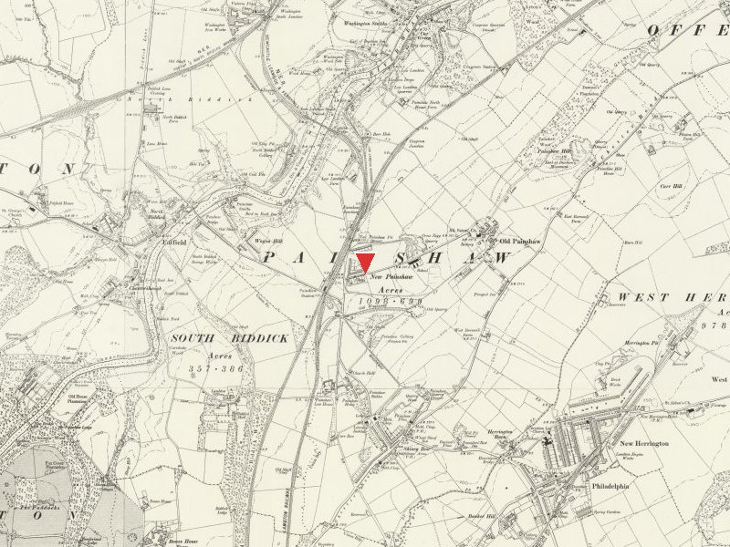 New Painshaw